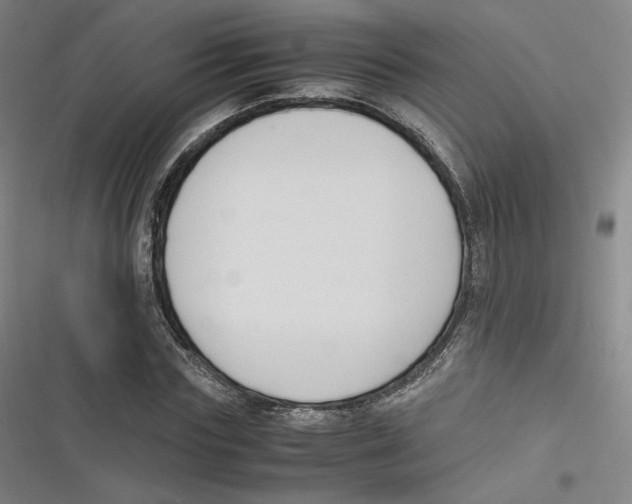 X0000116620827201001081230