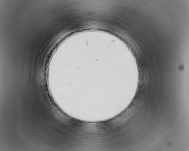 X0000116620828201001081230