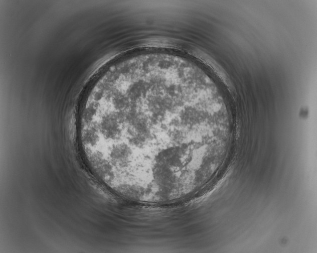 X0000116620829201001081230