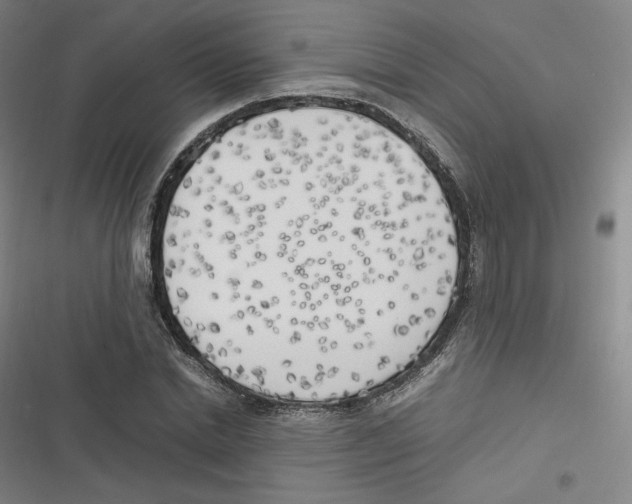 X0000116620830201001081230