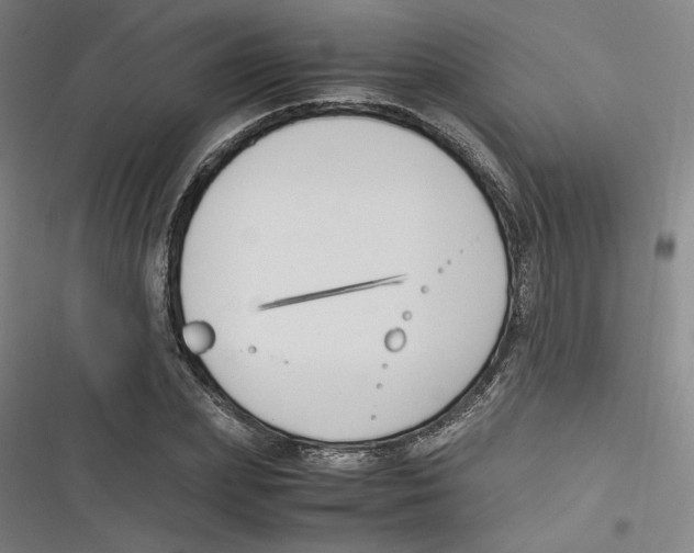 X0000116620831201001081230