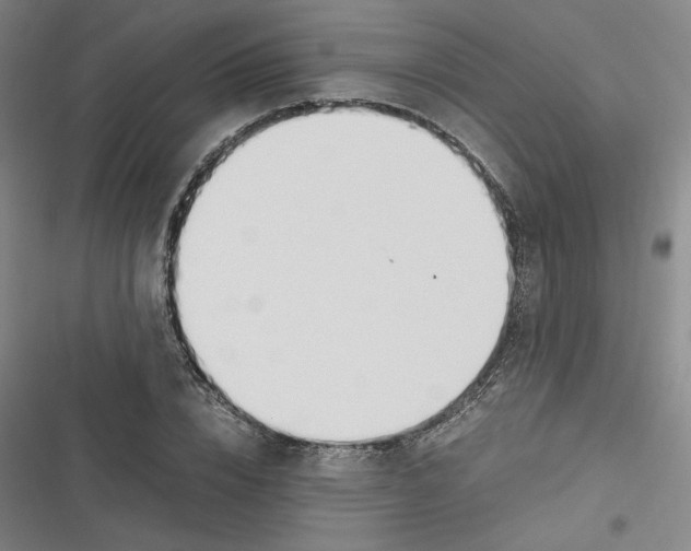 X0000116620832201001081230