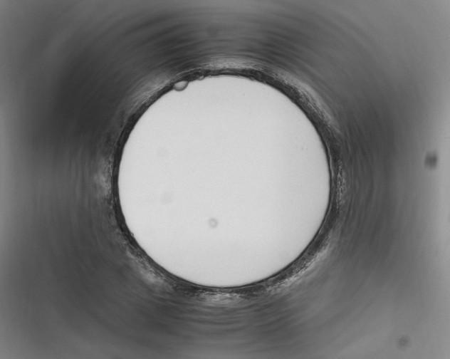 X0000116620833201001081230