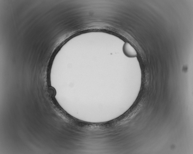 X0000116620834201001081230