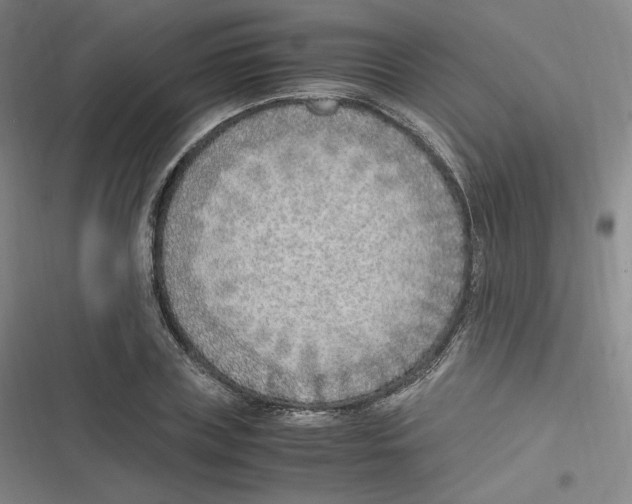 X0000116620835201001081230