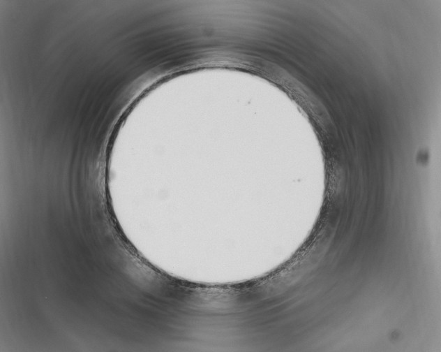 X0000116620836201001081230