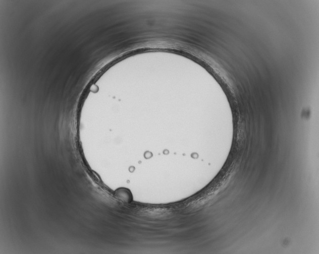 X0000116620837201001081230