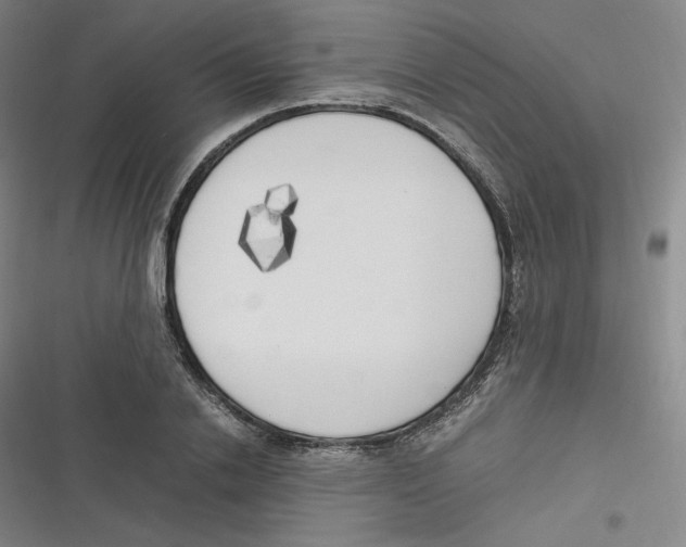 X0000116620838201001081230