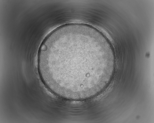 X0000116620839201001081230