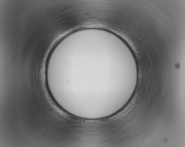 X0000116620840201001081230