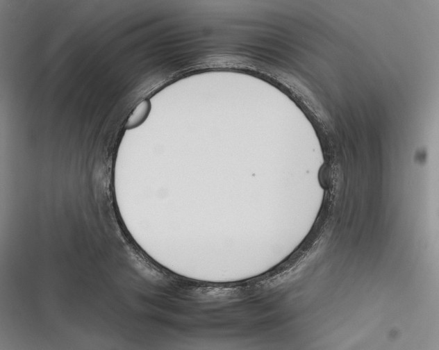 X0000116620841201001081230