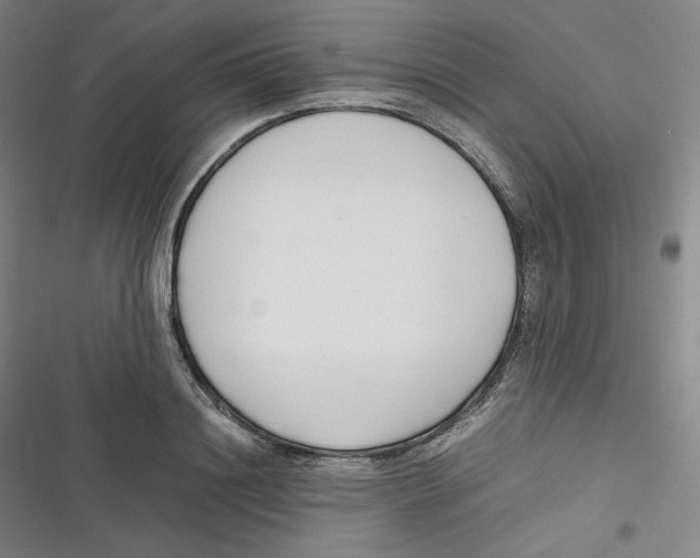 X0000116620844201001081230