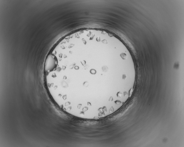 X0000116620845201001081230