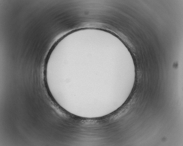 X0000116620846201001081230