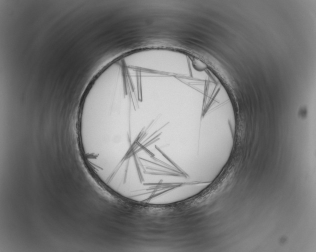 X0000116620847201001081230