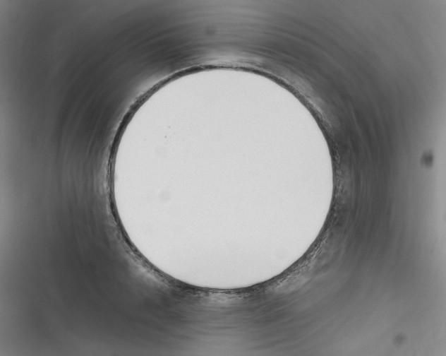 X0000116620848201001081230