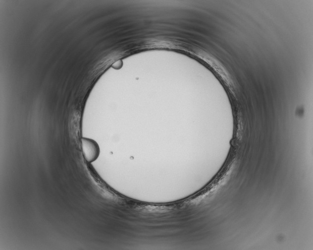 X0000116620849201001081230