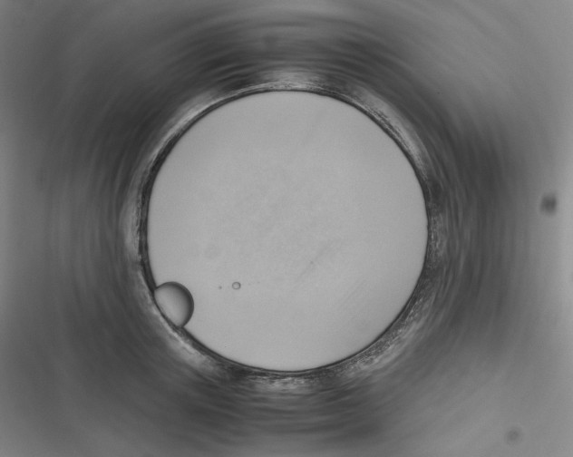 X0000116620851201001081230