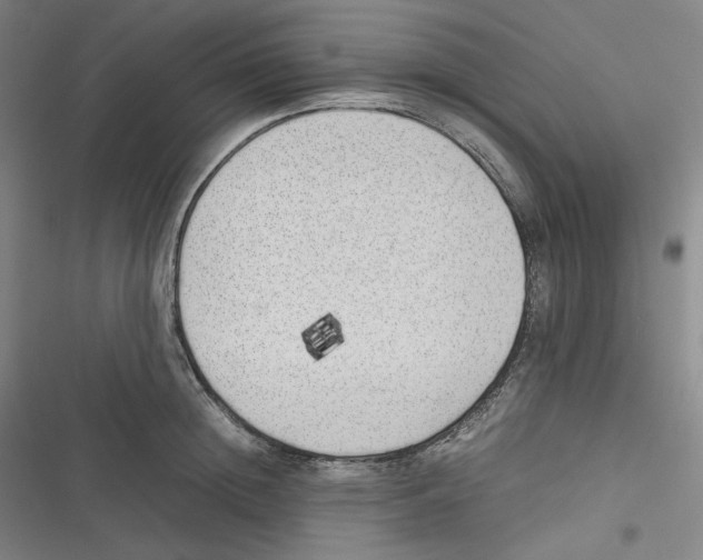 X0000116620852201001081230