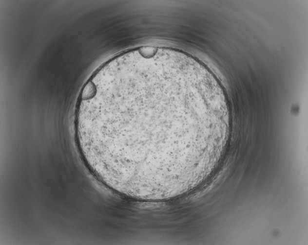 X0000116620853201001081230