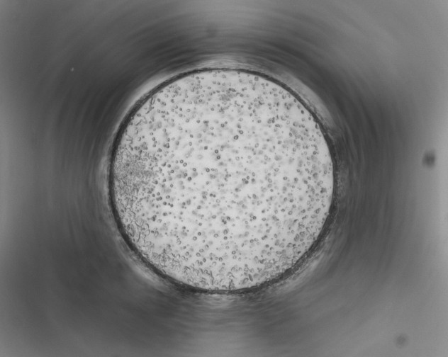 X0000116620854201001081230