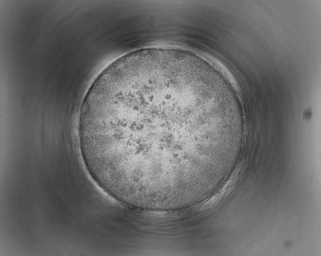 X0000116620855201001081230