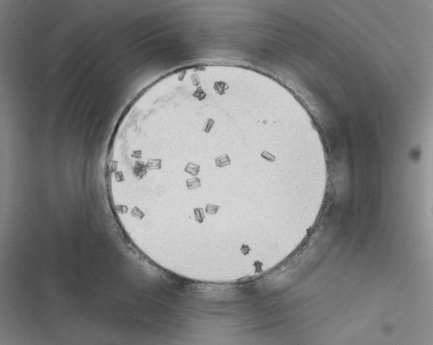 X0000116620856201001081230