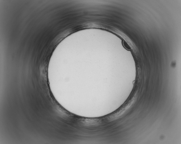 X0000116620857201001081230