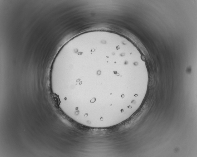 X0000116620858201001081230