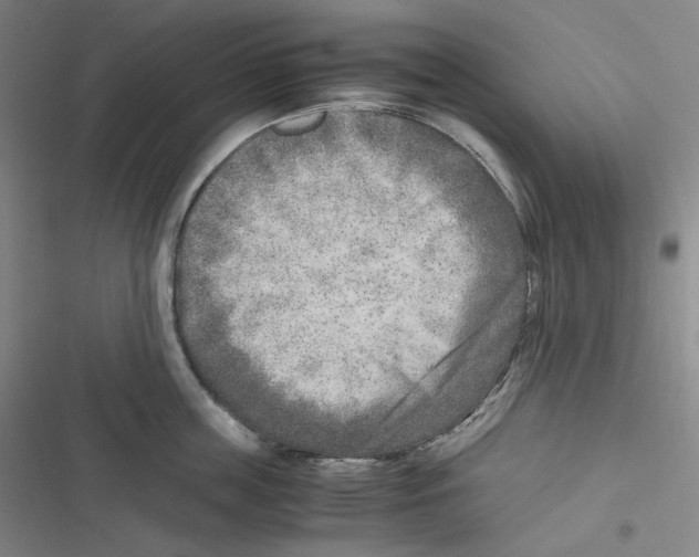 X0000116620859201001081230