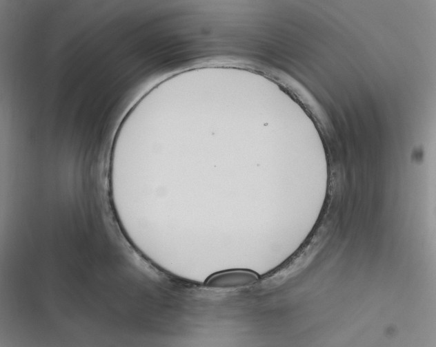 X0000116620860201001081230