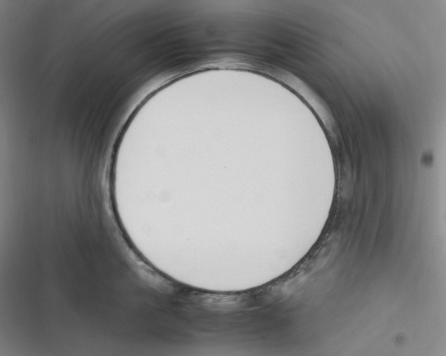 X0000116620861201001081230