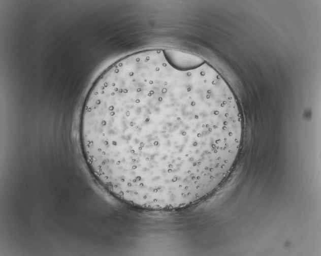 X0000116620862201001081230