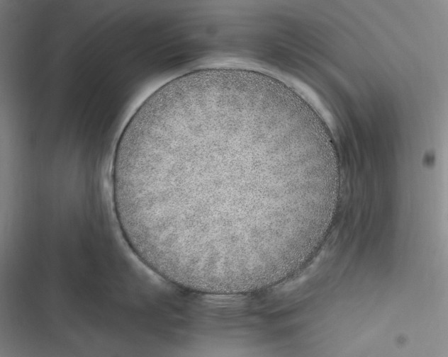 X0000116620863201001081230