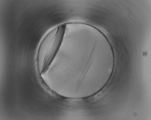 X0000116620864201001081230