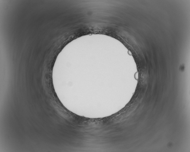 X0000116620865201001081229