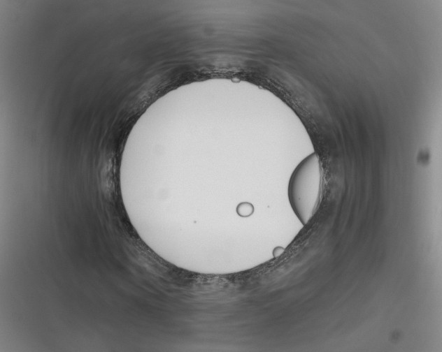 X0000116620866201001081229