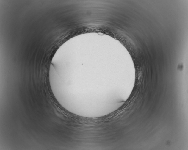 X0000116620868201001081229