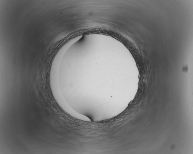 X0000116620869201001081229