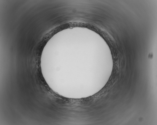 X0000116620870201001081229