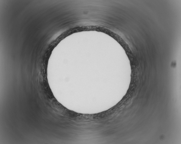 X0000116620871201001081229