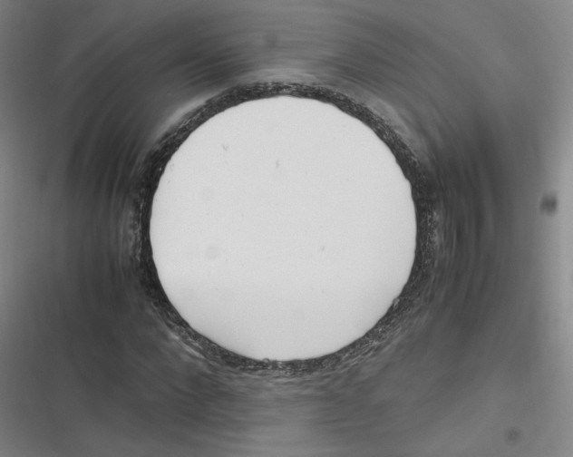 X0000116620872201001081229