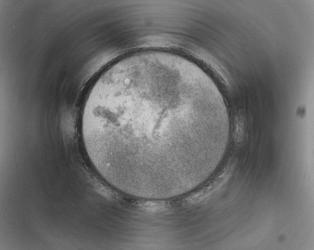 X0000116620874201001081229