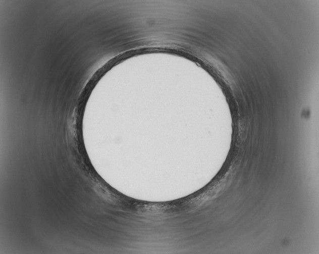 X0000116620875201001081229