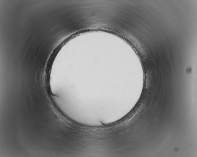 X0000116620876201001081229