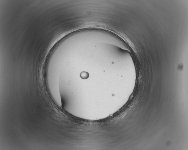 X0000116620877201001081229