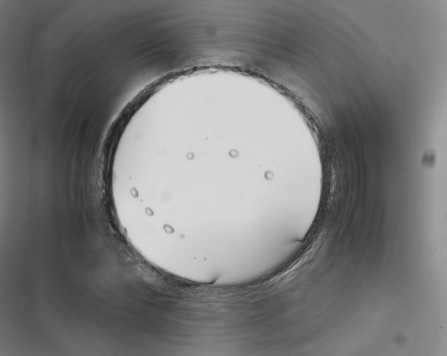 X0000116620878201001081229