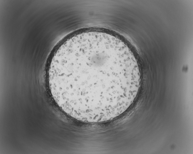 X0000116620879201001081229