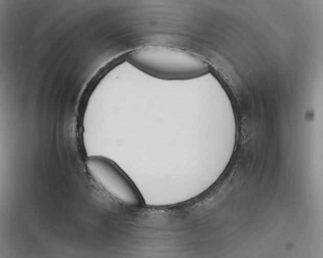 X0000116620880201001081229