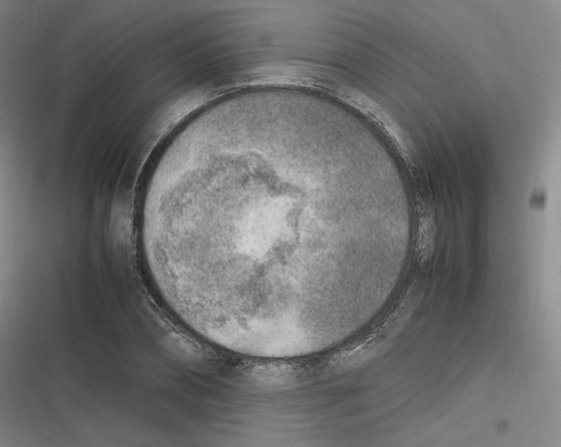 X0000116620882201001081229